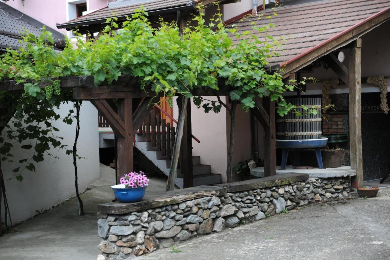 Wellness B&B Winery Sontacchi Kutjevo Exteriör bild