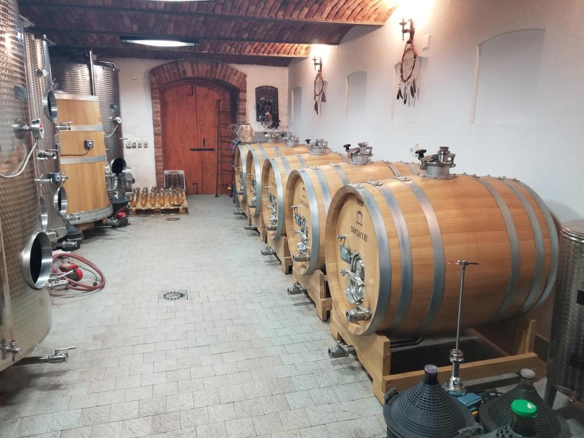 Wellness B&B Winery Sontacchi Kutjevo Exteriör bild